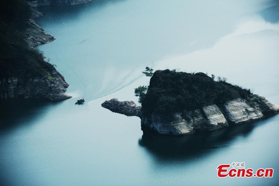 Giant 'tortoise' surfaces in Three Gorges Reservoir