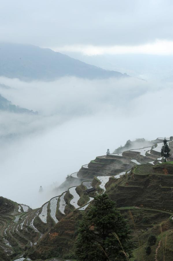 Scenery of terraced fields in China's Guizhou