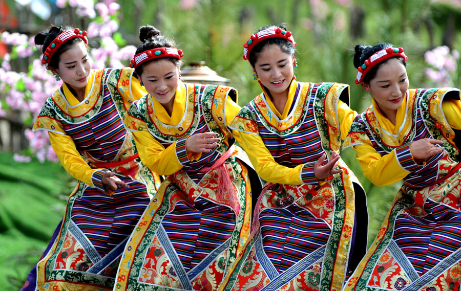 Nyingchi peach flower festival kicks off in Tibet