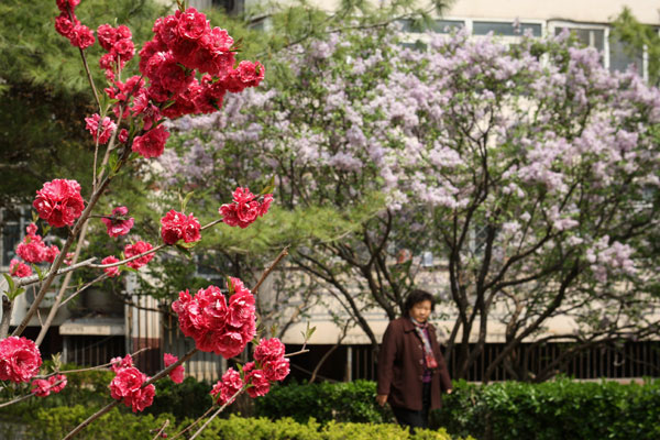 Right at home with flowers