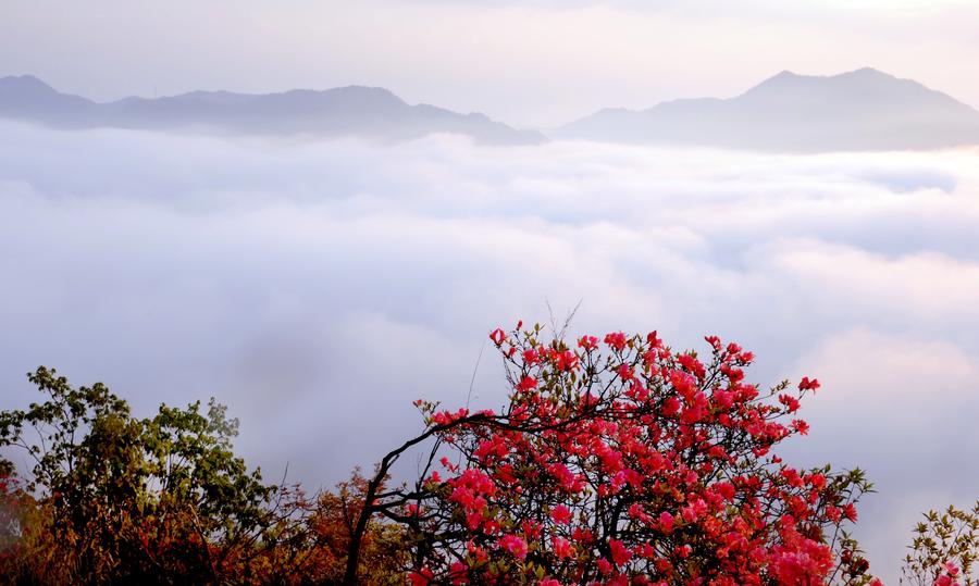 Incredible scenery of cloud-shrouded Wuji Mountain in China's Anhui