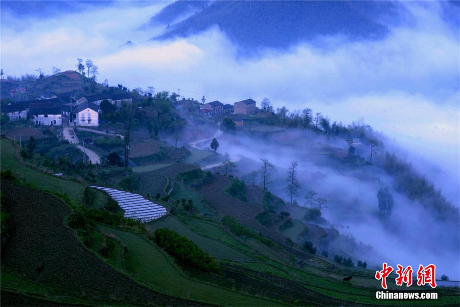 Intoxicating terrace in E China's Zhejiang