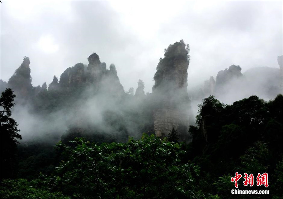 Eye-catching Wulingyuan Scenic Area shrouded by mist