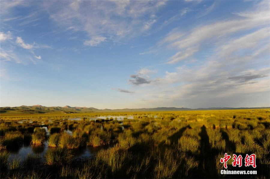 Ruoergai: China's most beautiful wetland