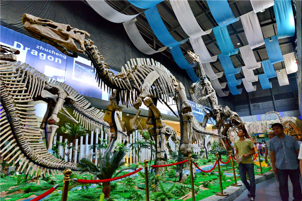 Where you can see thousands of dinosaur fossils