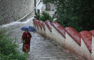 A view from Tibet, the roof of the world