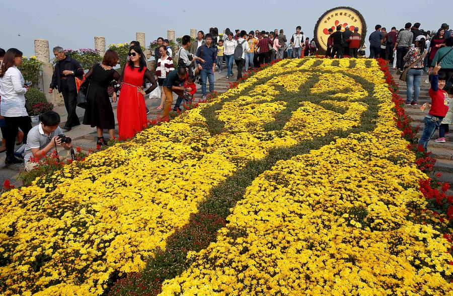 Autumn Chrysanthemums brighten ancient city