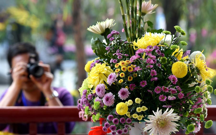 Autumn Chrysanthemums brighten ancient city