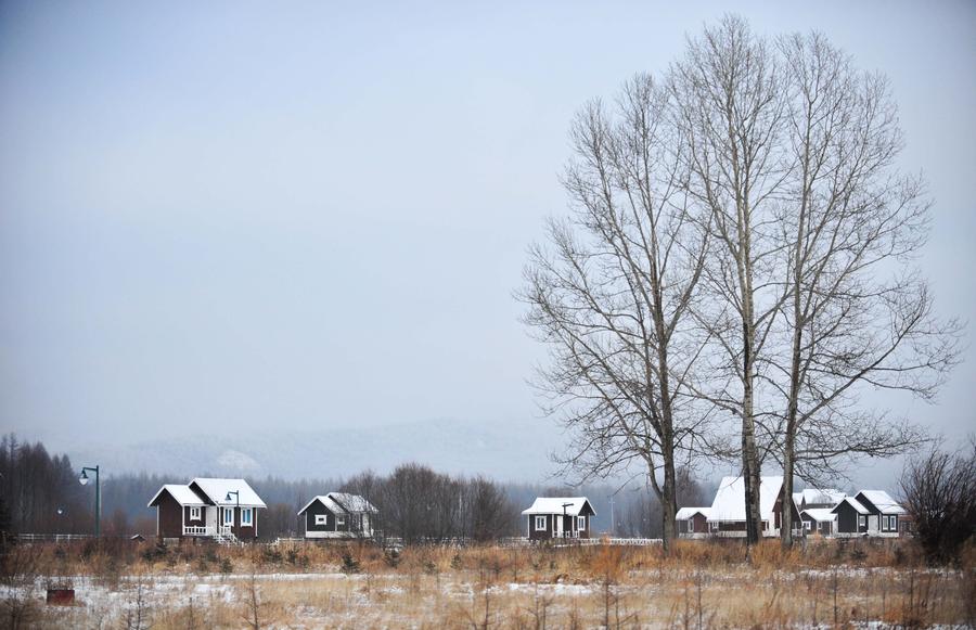 The Greater Khingan range in winter