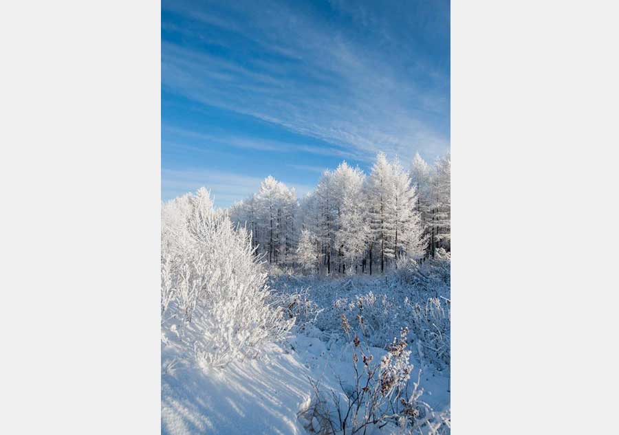 The Greater Khingan range in winter