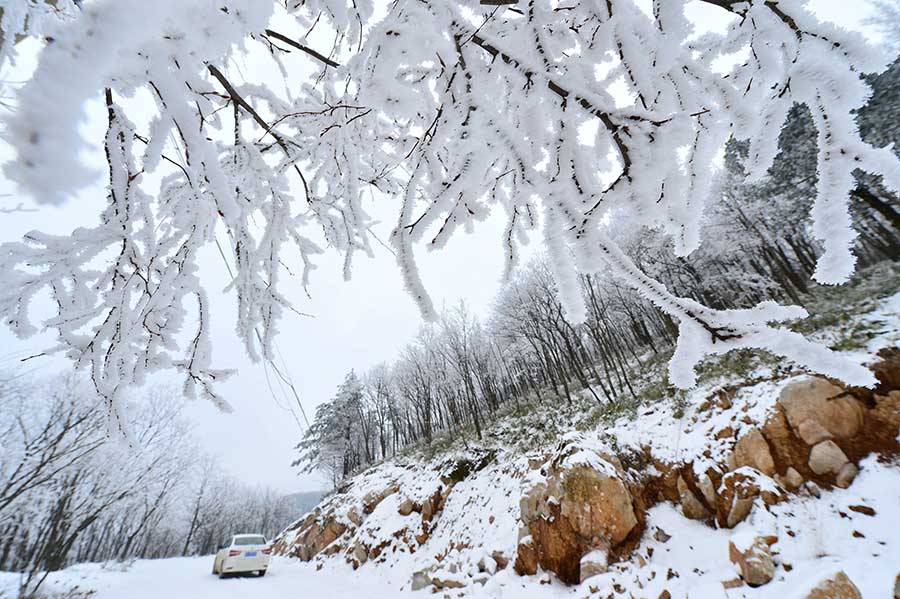 Rime scenery at Longping township, C China