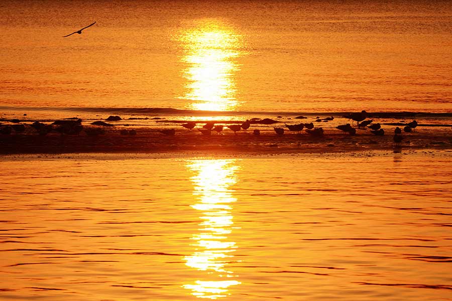 Warm colors at sunrise cast off the chill in Qingdao