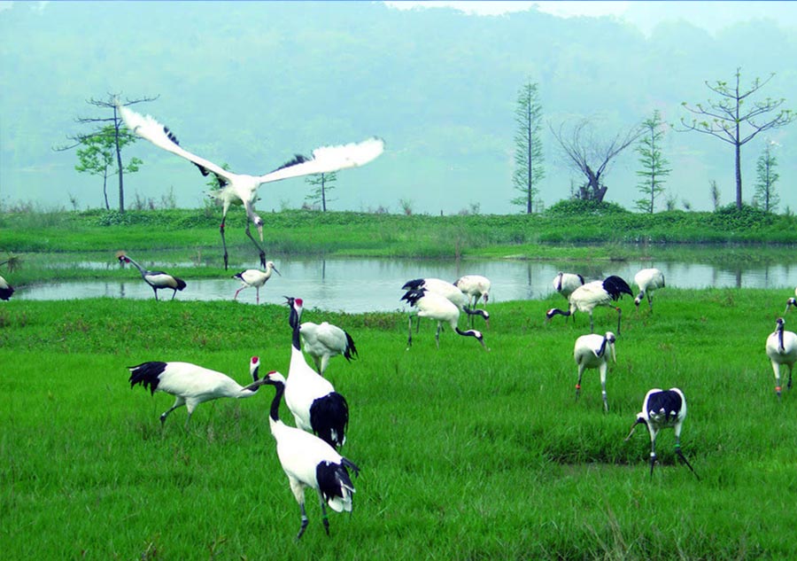 China's most beautiful wetlands