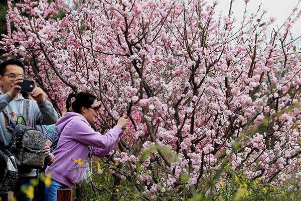 Tourists encouraged to show good manners during holiday