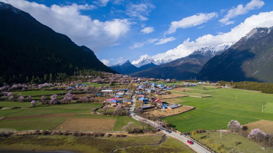 Spring scenery of Tibet