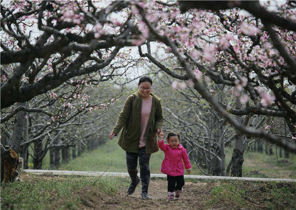 Springing into blossom