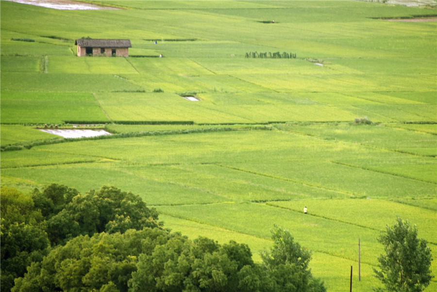 Picturesque rice fields in E China’s Jiangxi