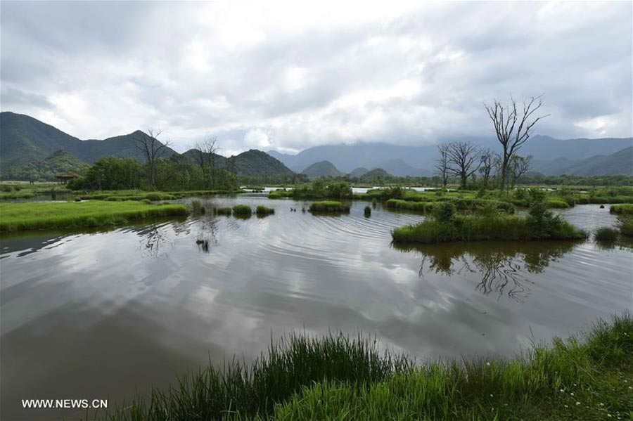 Scenery of Dajiu Lake in Shennongjia, Central China's Hubei