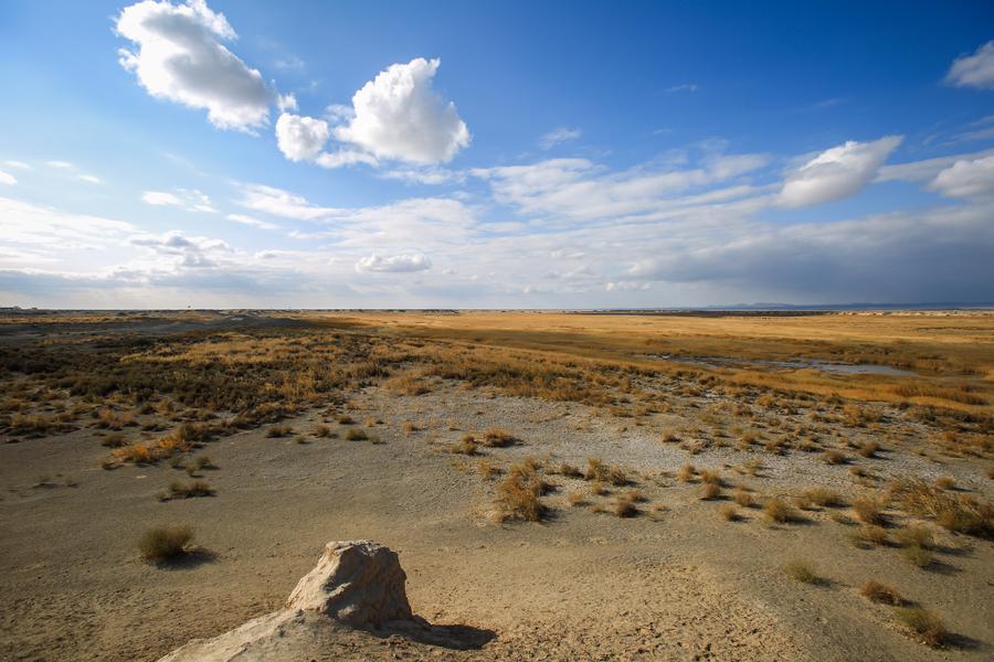 Scenery of Shule River in Gansu