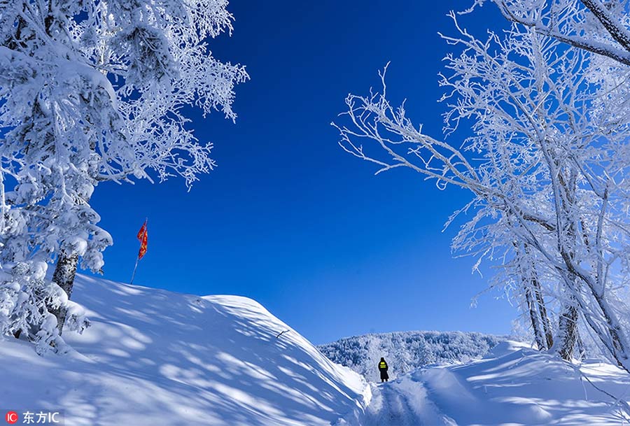 Snow village, a farm turns fairy tale world in Heilongjiang