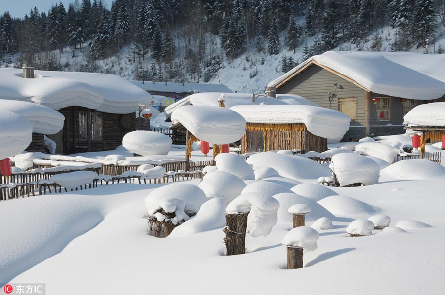 Snow village, a farm turns fairy tale world in Heilongjiang