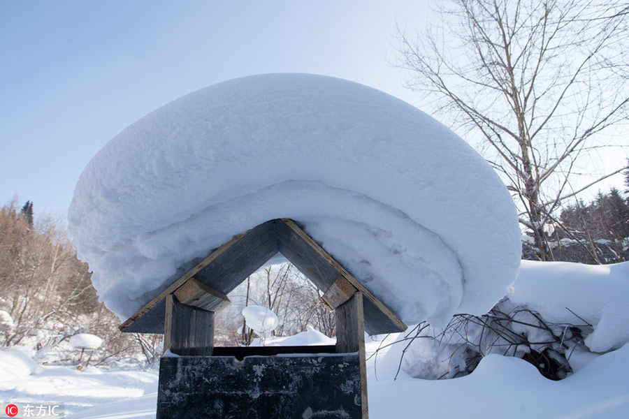 Snow village, a farm turns fairy tale world in Heilongjiang