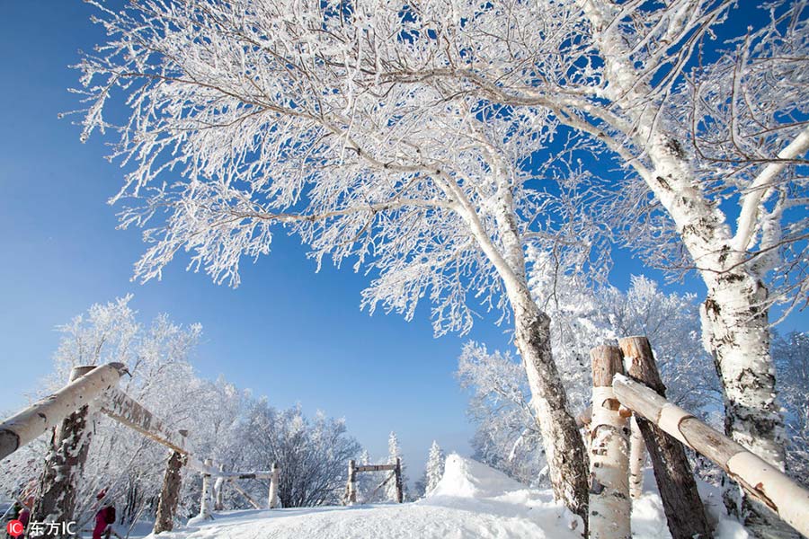 Snow village, a farm turns fairy tale world in Heilongjiang