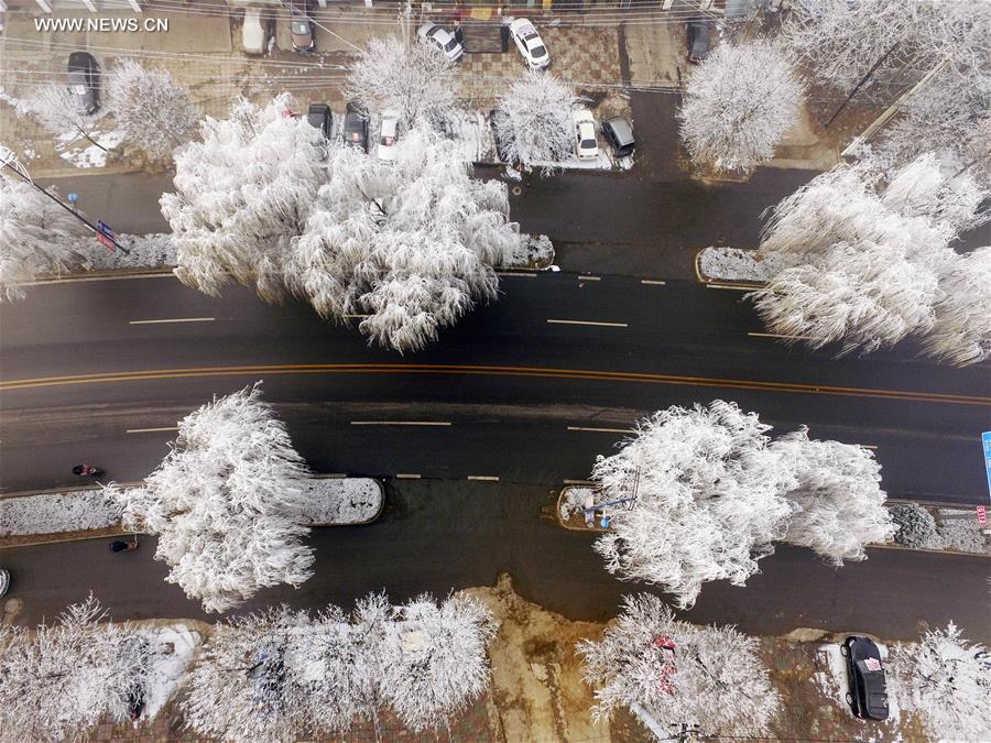 Scenery of rime in North China's Hebei