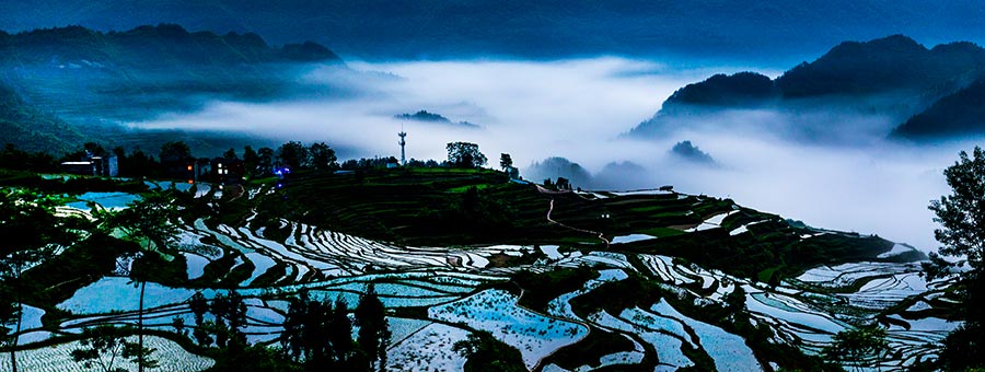 Youyang terraces in Chongqing capture beauty of nature