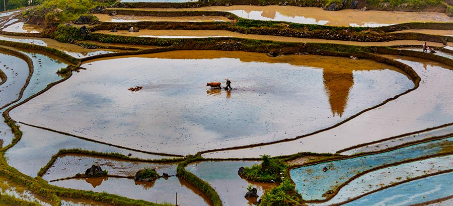 Youyang terraces in Chongqing capture beauty of nature