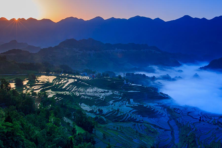 Youyang terraces in Chongqing capture beauty of nature