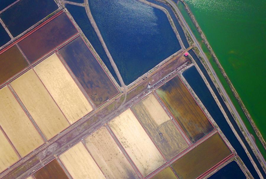 Salt fields enter into harvest season in Liaoning