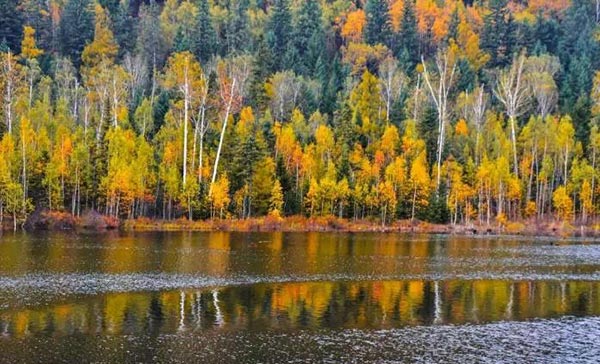 Autumns in Heilongjiang full of color