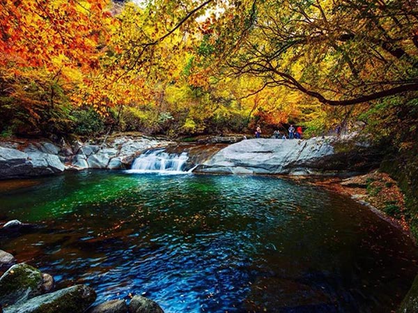 Autumns in Heilongjiang full of color