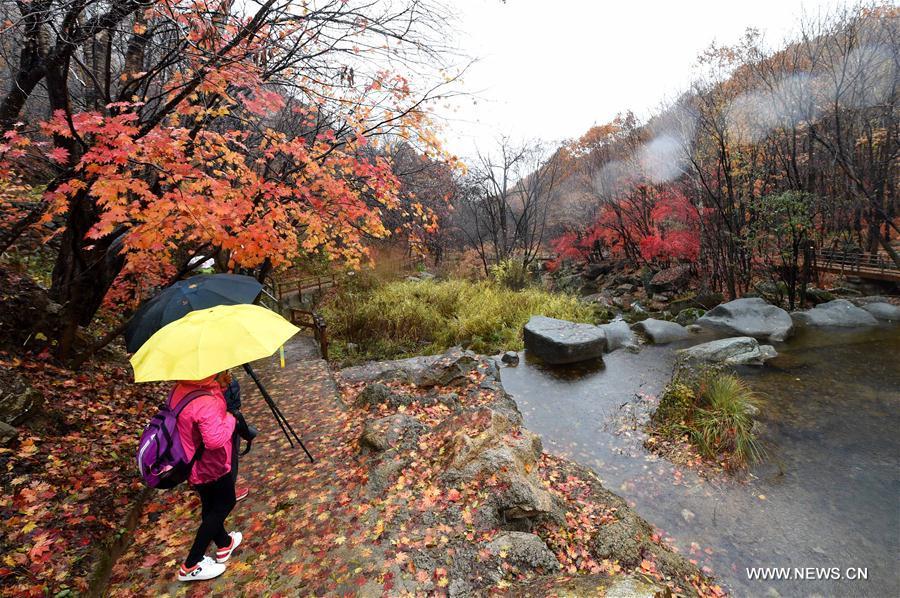 Autumn scenery in NE China's Liaoning