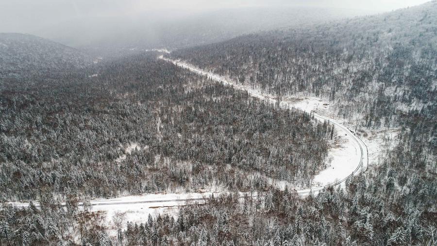 Snow scenery at forest scenic spot in NE China