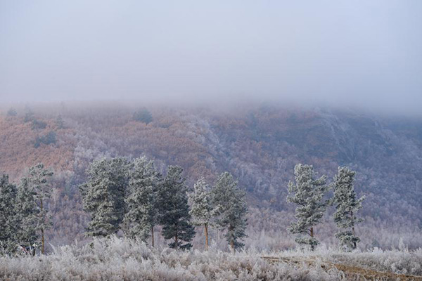 Soft rime dazzles NE China