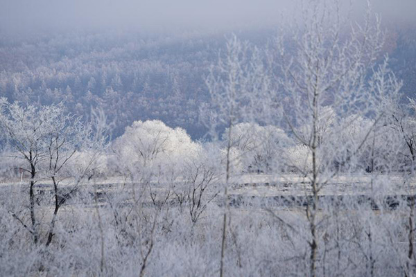 Soft rime dazzles NE China