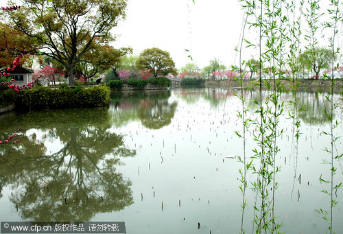 New blossoms reflect ancient beauty