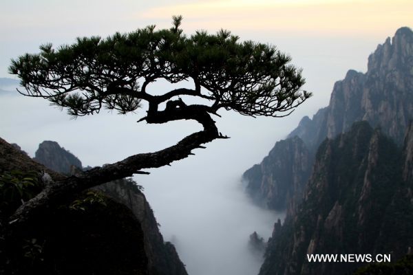 Seas of clouds appear at Huangshan Mountain