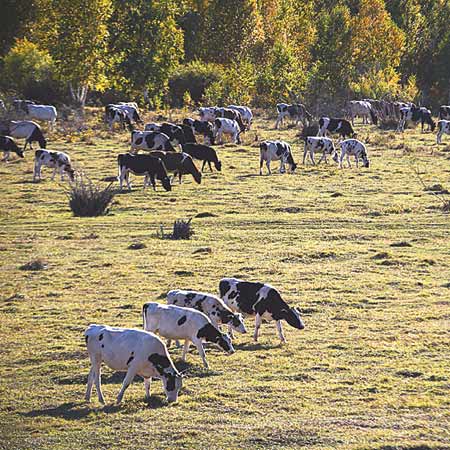 River valley produces wetlands wonder