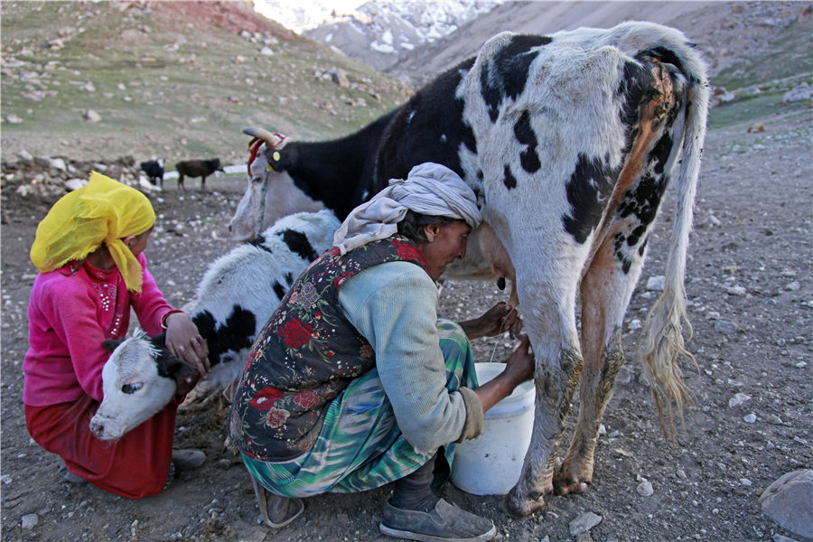 Living amid the mountains