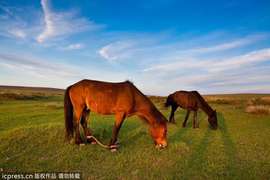 Top 10 places for camping in China