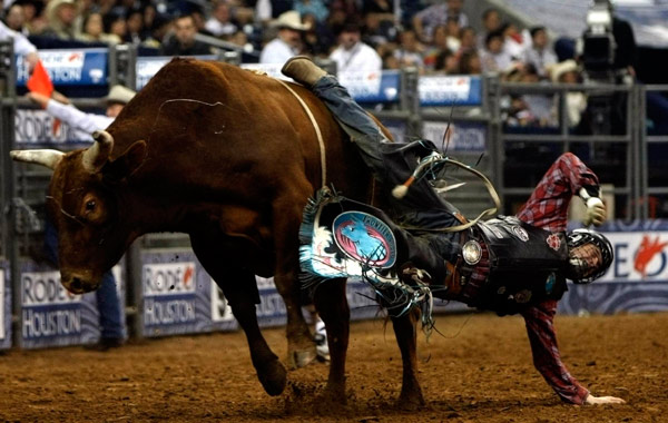 Cowboy's stunt at Houston Rodeo