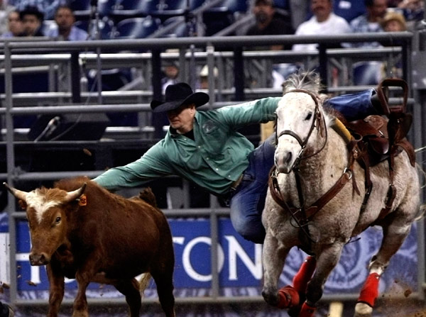 Cowboy's stunt at Houston Rodeo