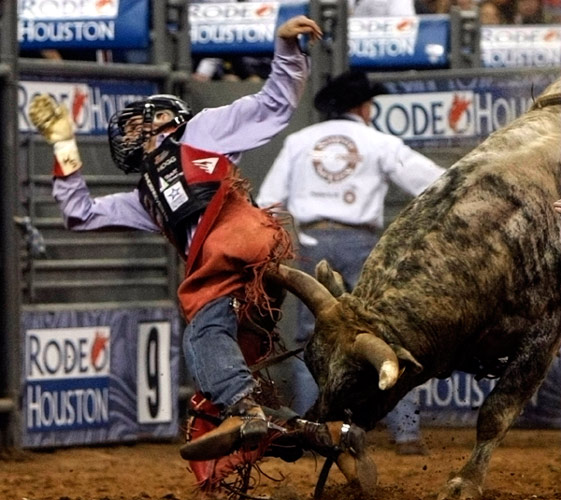 Cowboy's stunt at Houston Rodeo