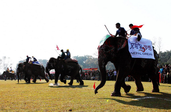 Elephant race in Nepali festival