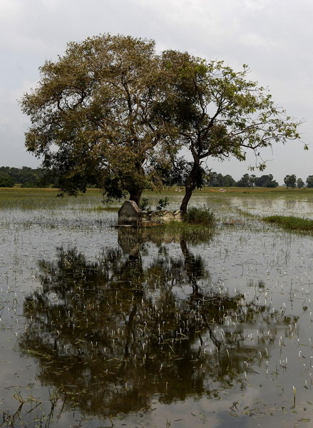 Livelihoods at risk after floods in Sri Lanka