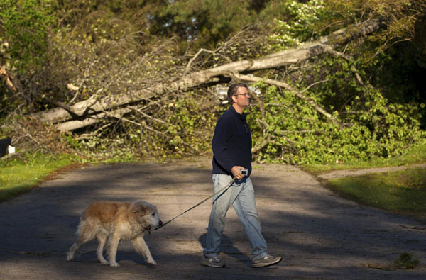 Dogs with their human friends