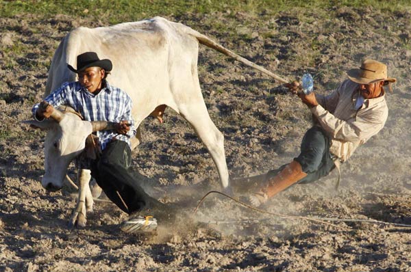 Cowboys compete in Rupinini Rodeo